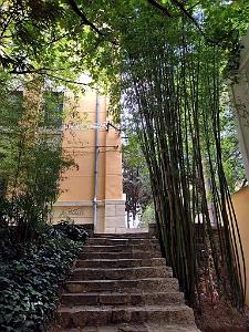 Kunming - Universite du Yunnan (61)